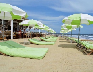 Гид: ESVE & Miss You Cafe