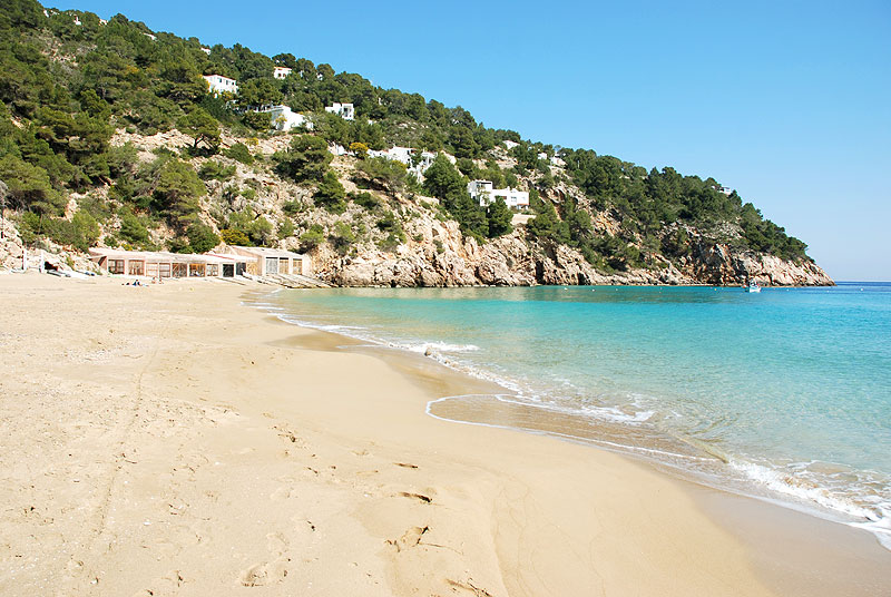 Cala de Sant Vicent Cala de Sant Vicent